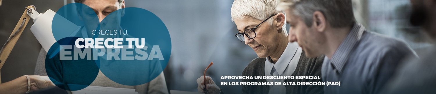 Alta Dirección